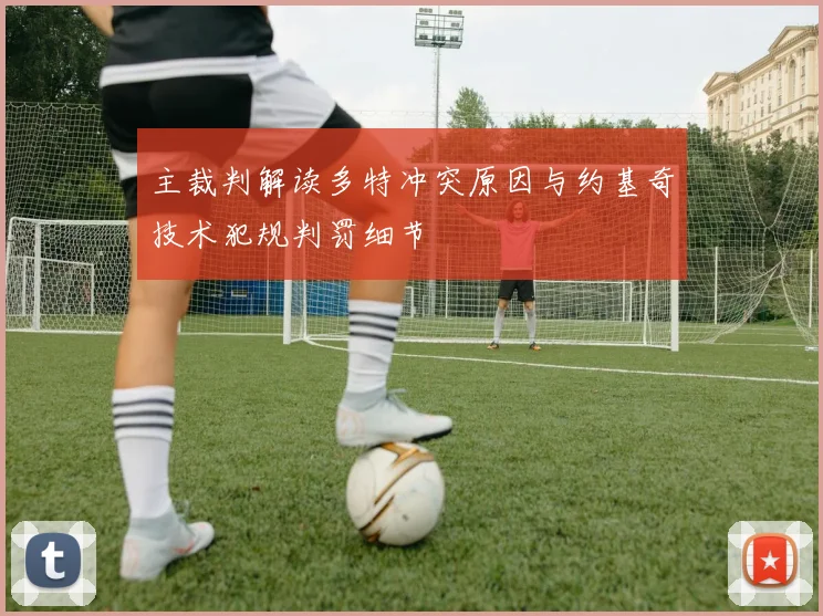 主裁判解读多特冲突原因与约基奇技术犯规判罚细节