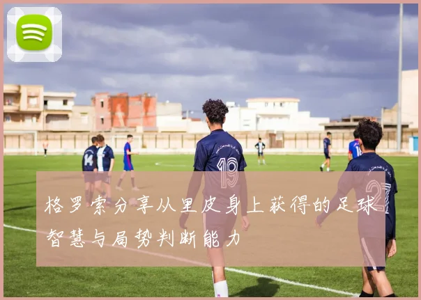 格罗索分享从里皮身上获得的足球智慧与局势判断能力