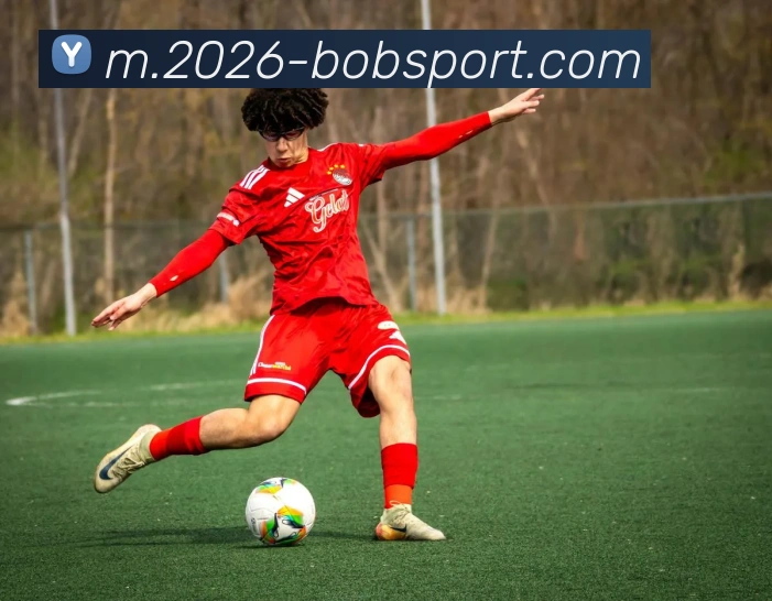 BOB体育发展历程